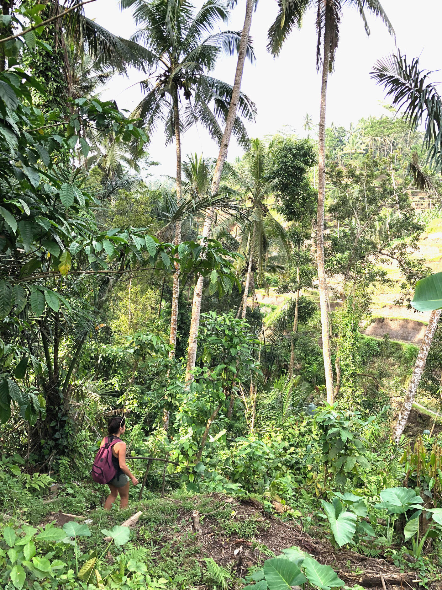 Trust and go deeper to find your own path Flor venturing into the jungle, symbolizing the journey of self-discovery, trust, and personal purpose – Espacio Medrar